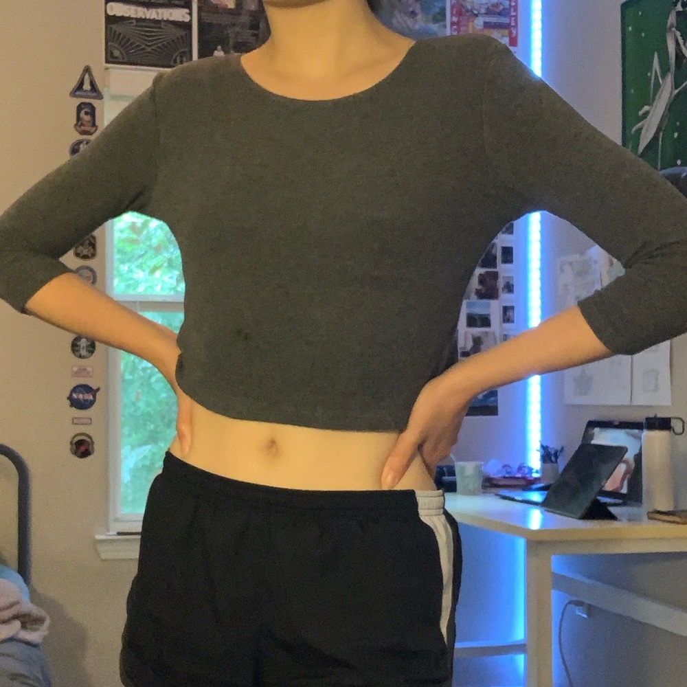 Grey Brandy Melville Cropped Long Sleeve
